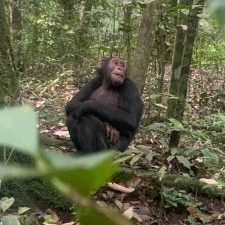 imgi_50_IMG_9233_11_IMGCentury-225x300-2-225x225