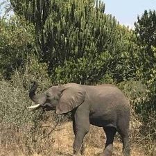 imgi_54_IMG_5010_5_IMGCentury-225x300-2-225x225